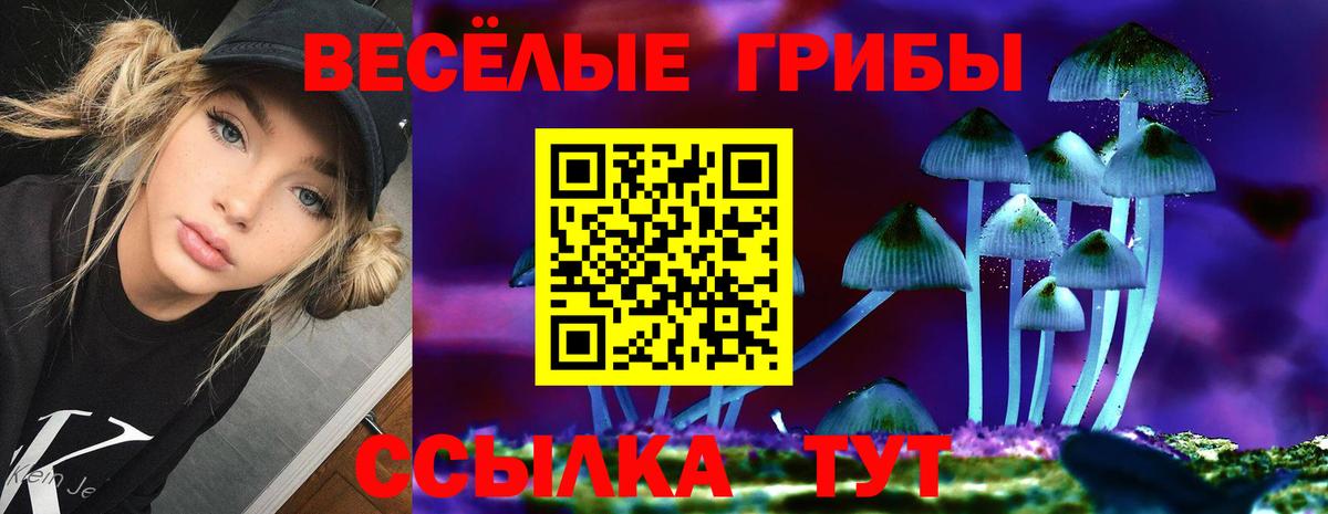 Псилоцибиновые грибы Psilocybine cubensis  где можно купить наркотик  Нарткала  Вход с VPN 